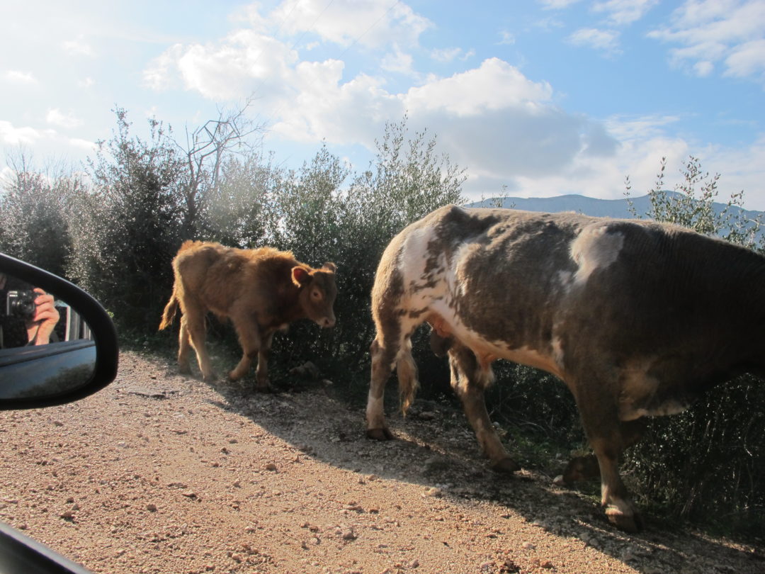 Trip grimpe en Sicile