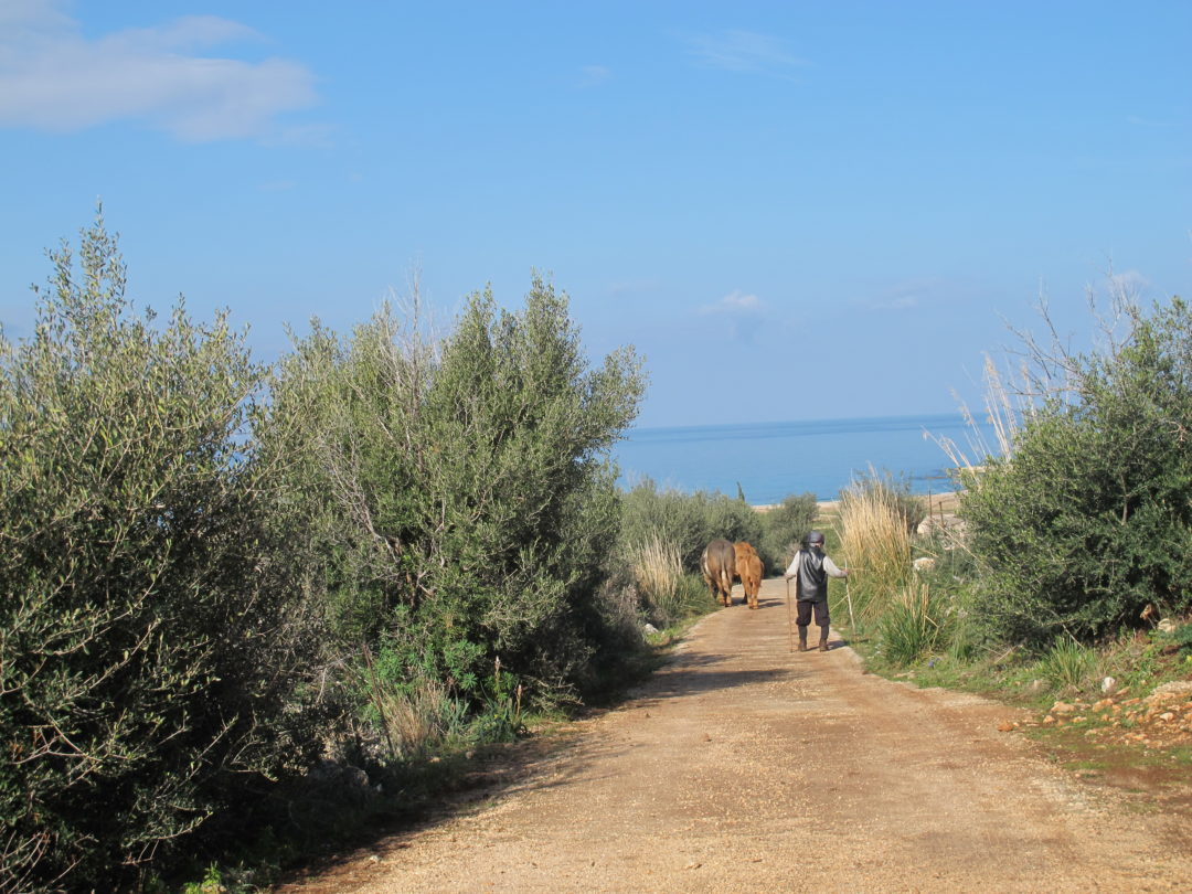 Trip grimpe en Sicile